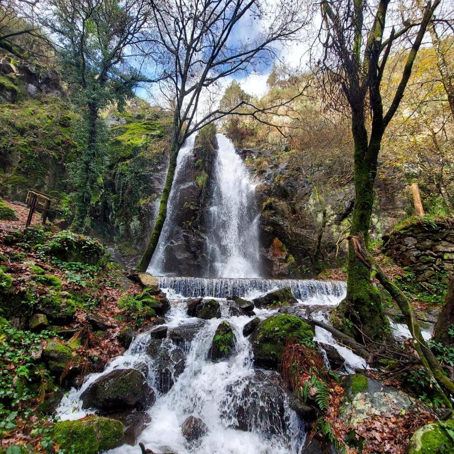 Beecaramulo-Apiturismo Villa Dış mekan fotoğraf