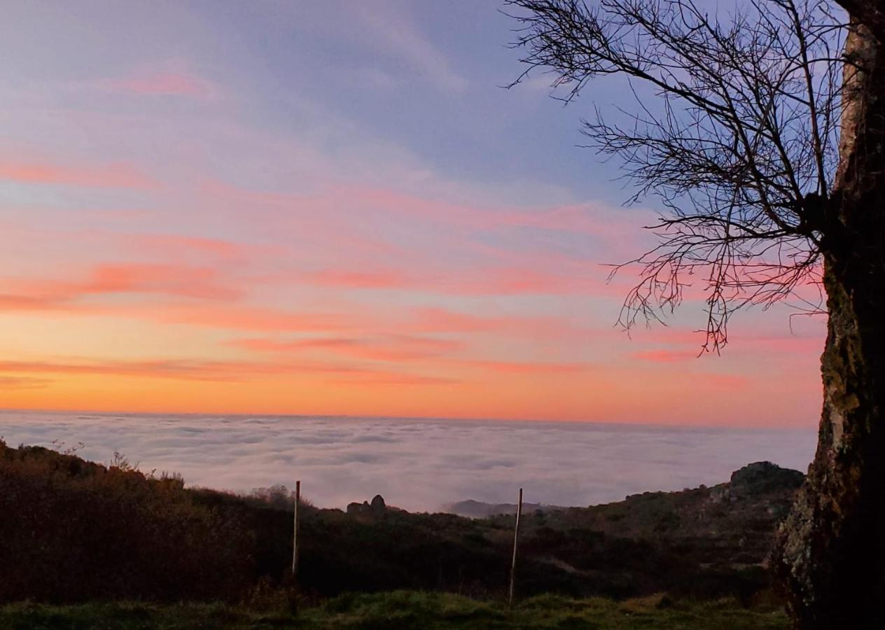 Beecaramulo-Apiturismo Villa Dış mekan fotoğraf